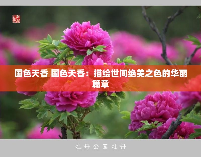 國色天香 國色天香：描繪世間絕美之色的華麗篇章
