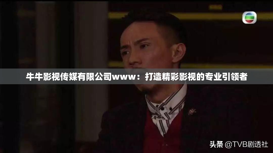 牛牛影視傳媒有限公司www：打造精彩影視的專業(yè)引領(lǐng)者