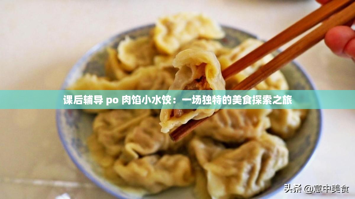 課后輔導(dǎo) po 肉餡小水餃：一場獨(dú)特的美食探索之旅