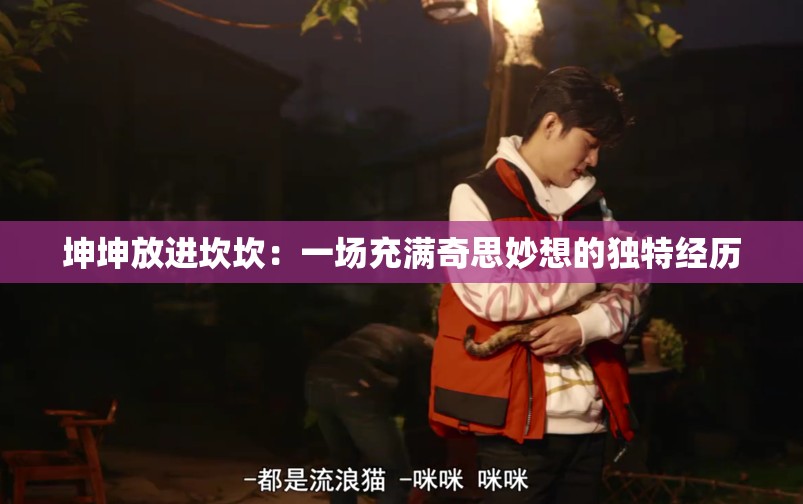 坤坤放進(jìn)坎坎：一場充滿奇思妙想的獨(dú)特經(jīng)歷