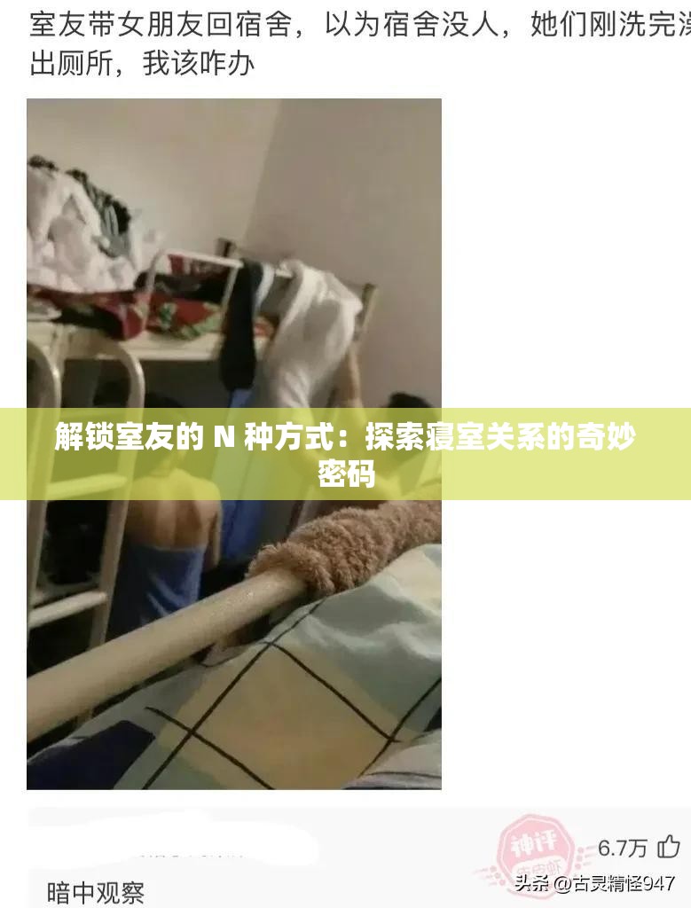 解鎖室友的 N 種方式：探索寢室關(guān)系的奇妙密碼