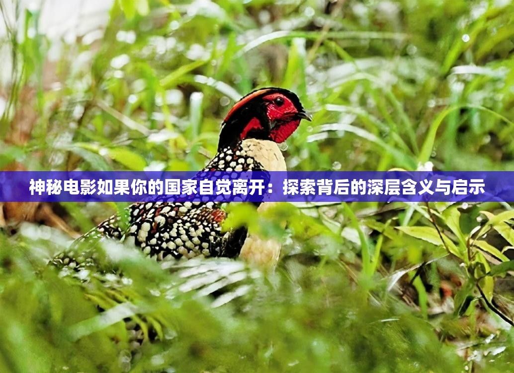 神秘電影如果你的國家自覺離開：探索背后的深層含義與啟示