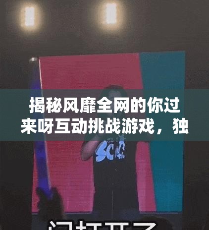 揭秘風(fēng)靡全網(wǎng)的你過來呀互動挑戰(zhàn)游戲，獨特魅力何在，竟能吸引無數(shù)玩家參與