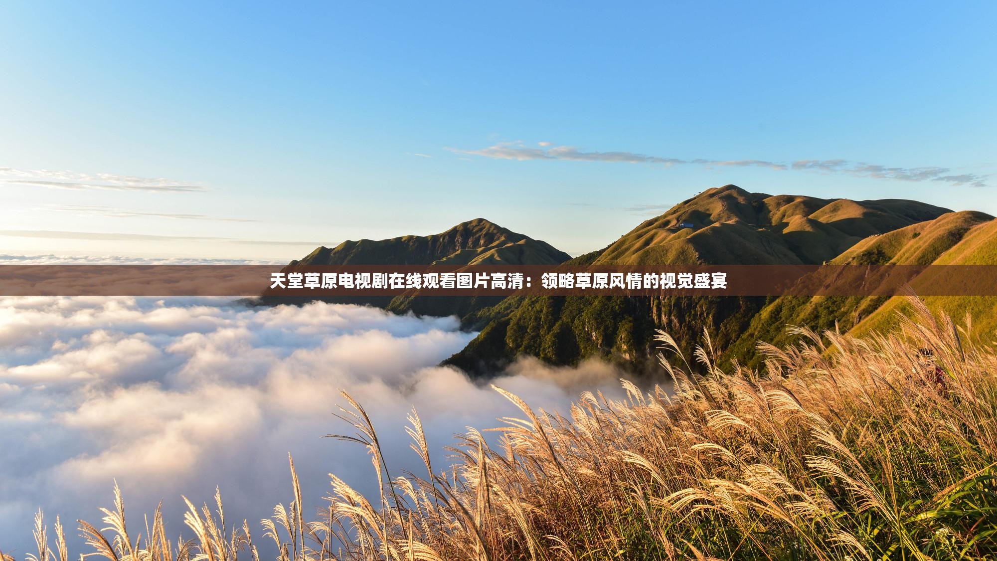 天堂草原電視劇在線觀看圖片高清：領(lǐng)略草原風(fēng)情的視覺盛宴