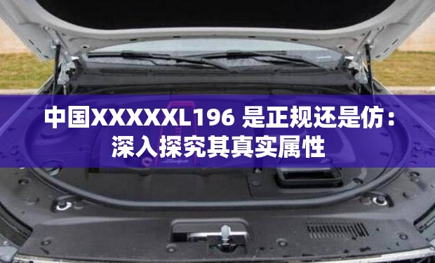 中國(guó)XXXXXL196 是正規(guī)還是仿：深入探究其真實(shí)屬性