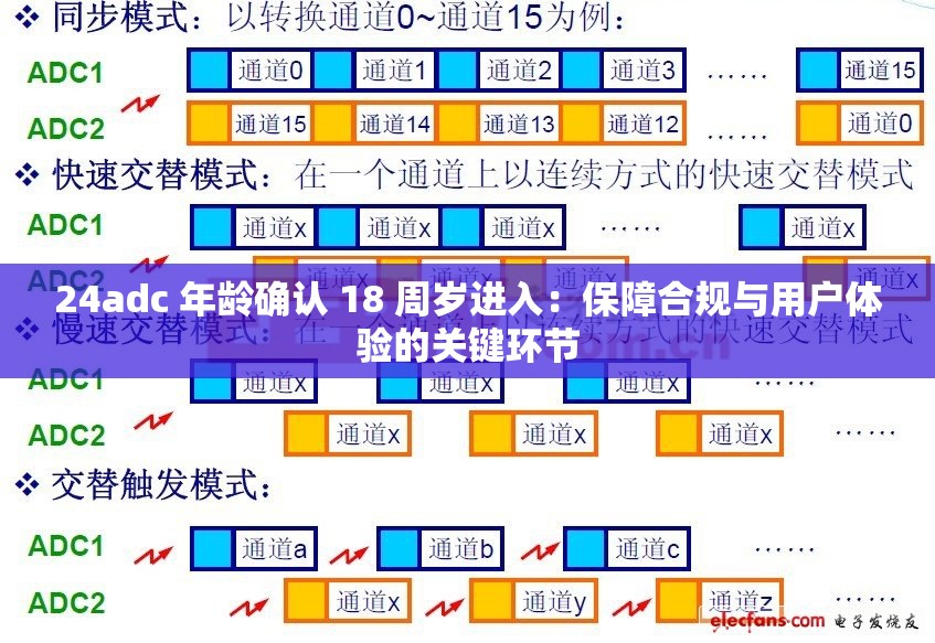 24adc 年齡確認(rèn) 18 周歲進(jìn)入：保障合規(guī)與用戶體驗(yàn)的關(guān)鍵環(huán)節(jié)