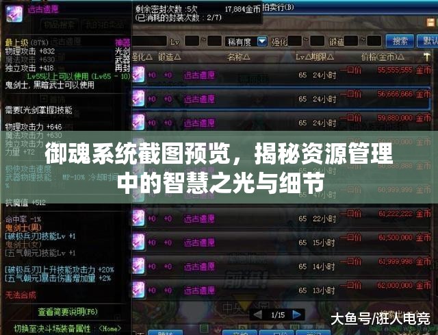 御魂系統(tǒng)截圖預(yù)覽，揭秘資源管理中的智慧之光與細(xì)節(jié)