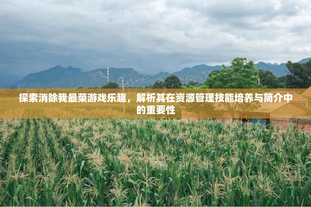 探索消除我最菜游戲樂趣，解析其在資源管理技能培養(yǎng)與簡介中的重要性