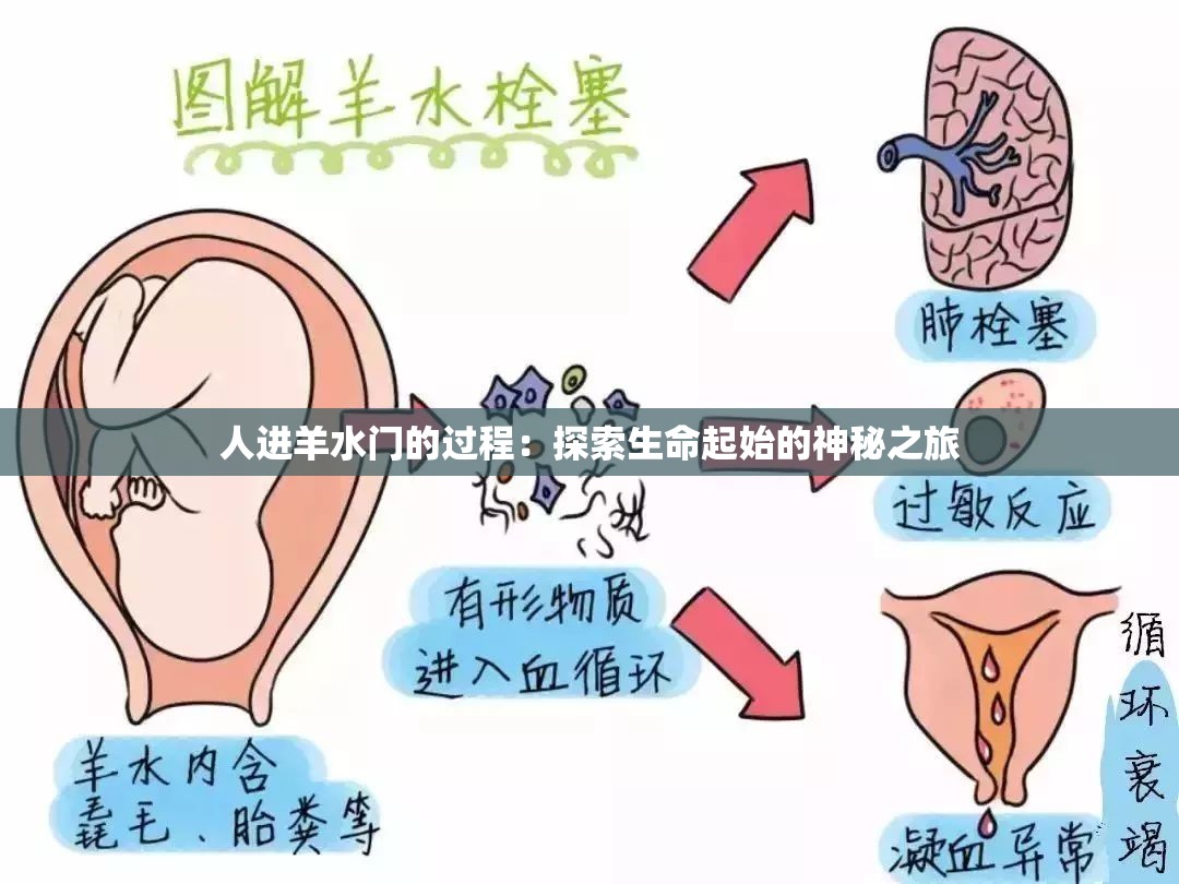 人進(jìn)羊水門的過程：探索生命起始的神秘之旅