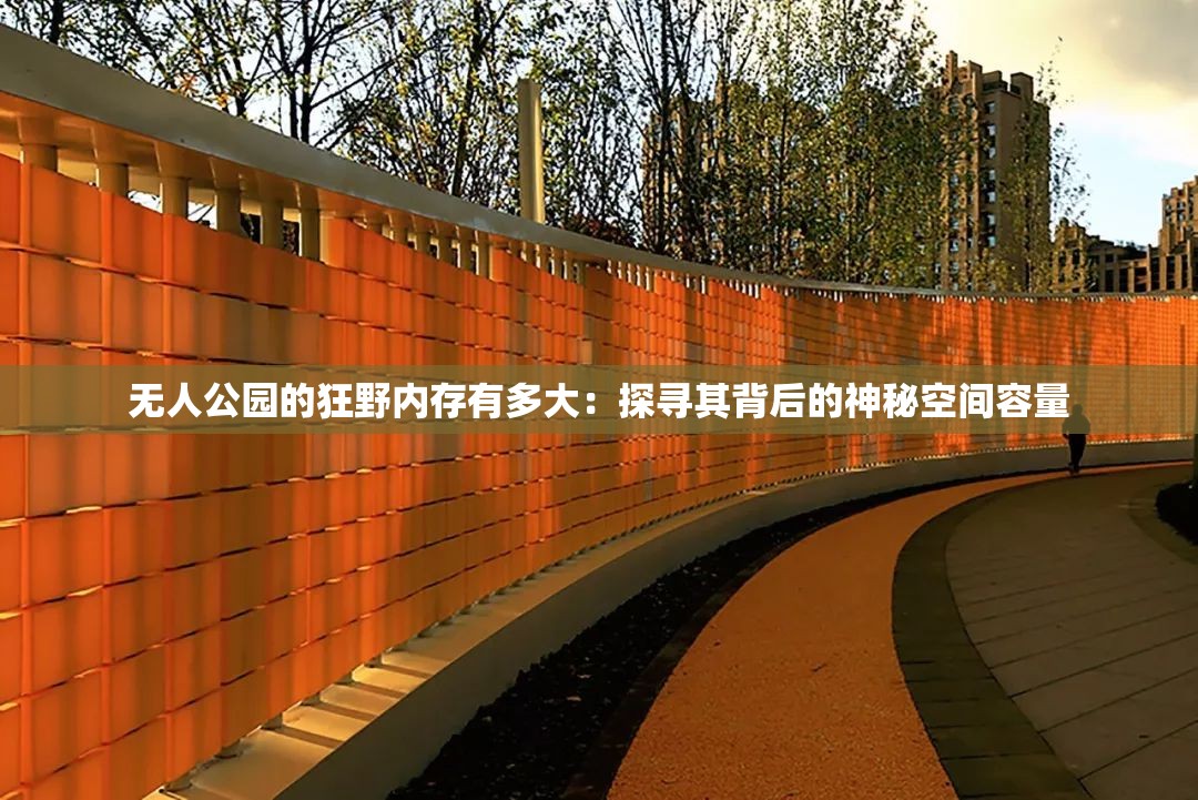 無人公園的狂野內(nèi)存有多大：探尋其背后的神秘空間容量