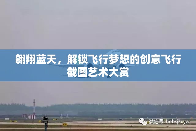 翱翔藍(lán)天，解鎖飛行夢想的創(chuàng)意飛行截圖藝術(shù)大賞