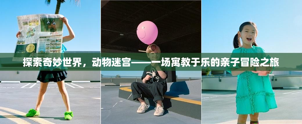 探索奇妙世界，動物迷宮——一場寓教于樂的親子冒險之旅