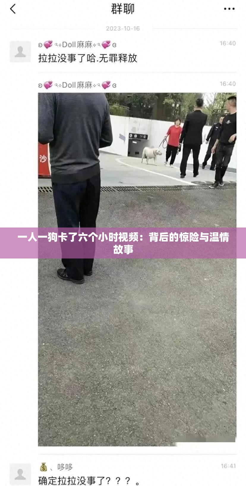 一人一狗卡了六個小時視頻：背后的驚險與溫情故事
