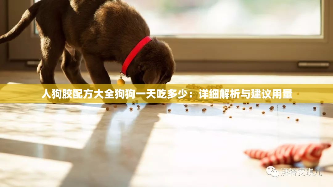 人狗膠配方大全狗狗一天吃多少：詳細解析與建議用量