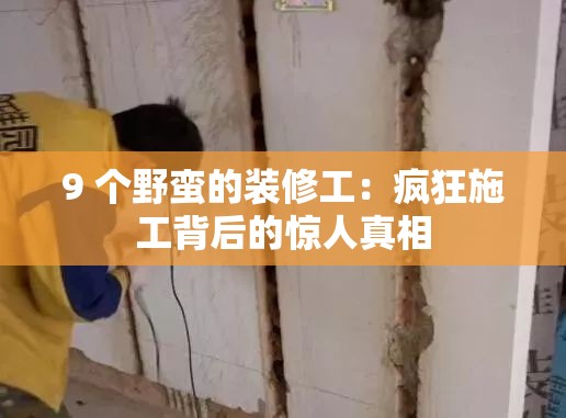 9 個野蠻的裝修工：瘋狂施工背后的驚人真相