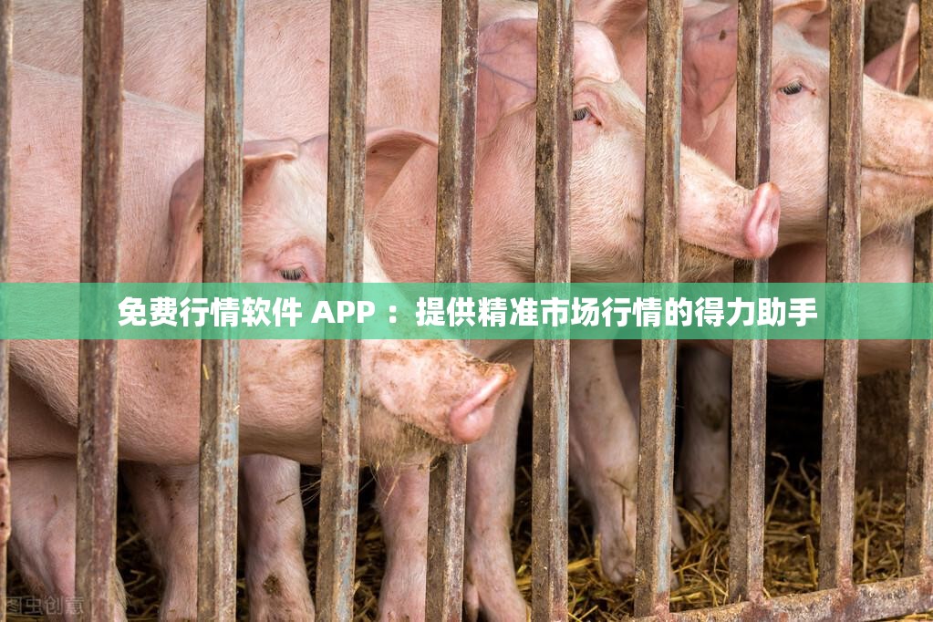 免費行情軟件 APP ：提供精準市場行情的得力助手