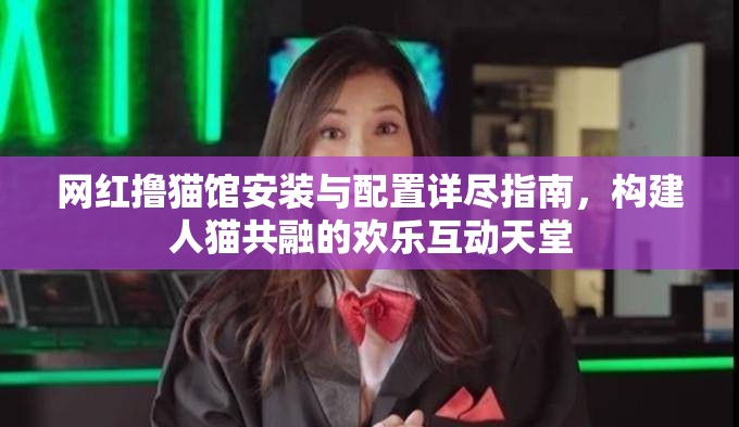 網(wǎng)紅擼貓館安裝與配置詳盡指南，構(gòu)建人貓共融的歡樂互動(dòng)天堂