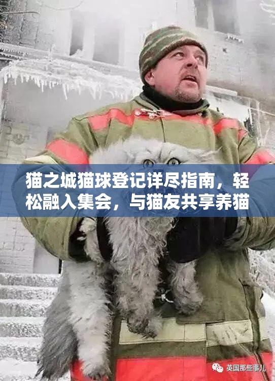 貓之城貓球登記詳盡指南，輕松融入集會(huì)，與貓友共享養(yǎng)貓無限樂趣