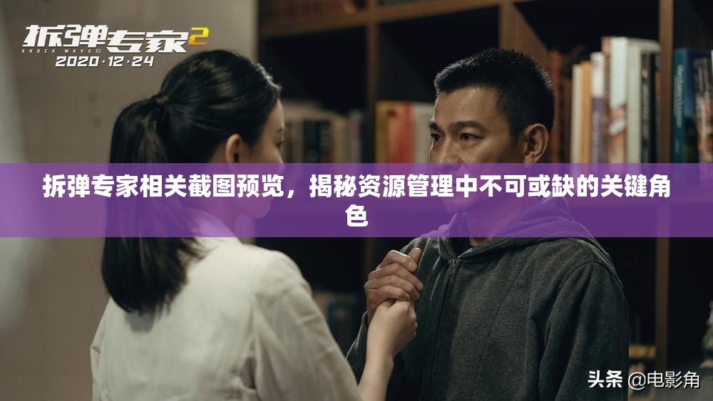 拆彈專家相關(guān)截圖預(yù)覽，揭秘資源管理中不可或缺的關(guān)鍵角色