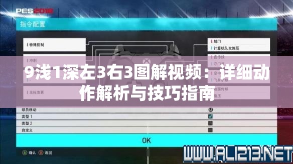 9淺1深左3右3圖解視頻：詳細(xì)動(dòng)作解析與技巧指南