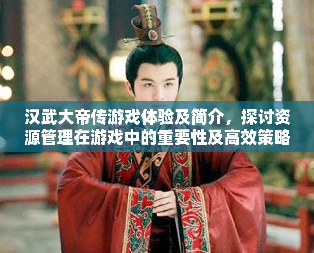 漢武大帝傳游戲體驗(yàn)及簡(jiǎn)介，探討資源管理在游戲中的重要性及高效策略