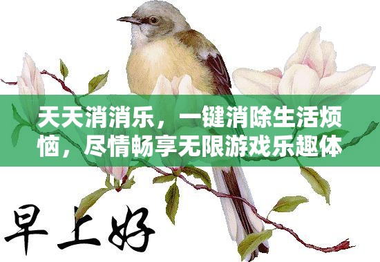 天天消消樂，一鍵消除生活煩惱，盡情暢享無限游戲樂趣體驗(yàn)