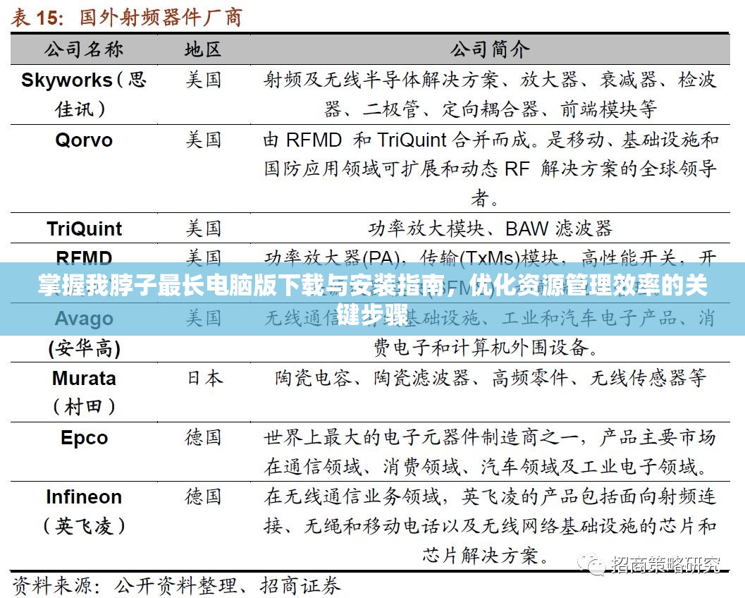 掌握我脖子最長電腦版下載與安裝指南，優(yōu)化資源管理效率的關(guān)鍵步驟