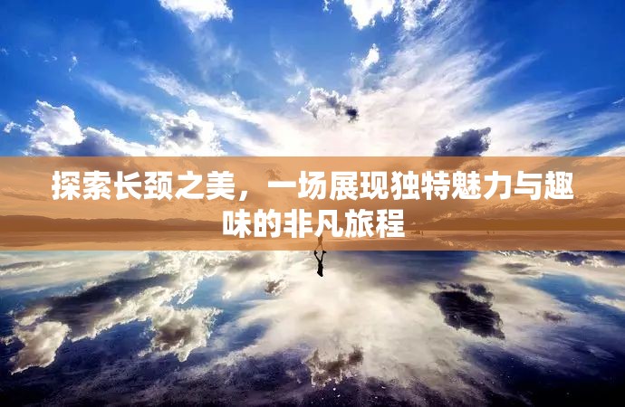 探索長頸之美，一場展現(xiàn)獨特魅力與趣味的非凡旅程