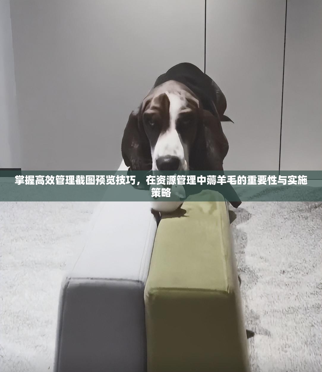 掌握高效管理截圖預覽技巧，在資源管理中薅羊毛的重要性與實施策略