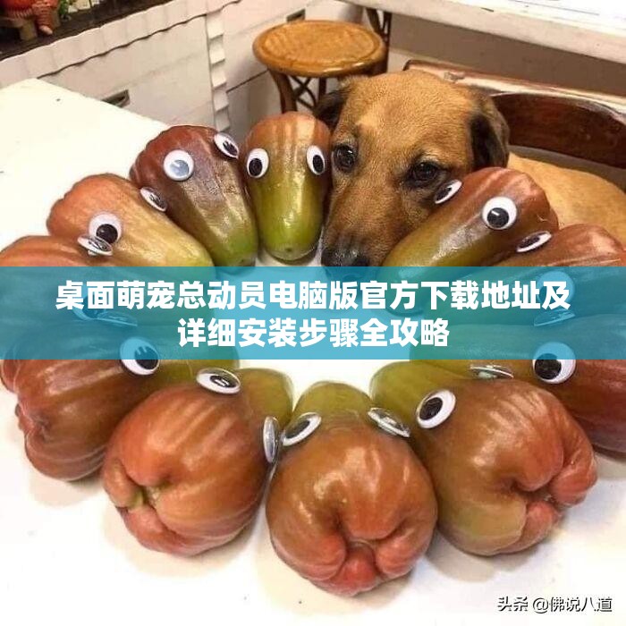 桌面萌寵總動(dòng)員電腦版官方下載地址及詳細(xì)安裝步驟全攻略