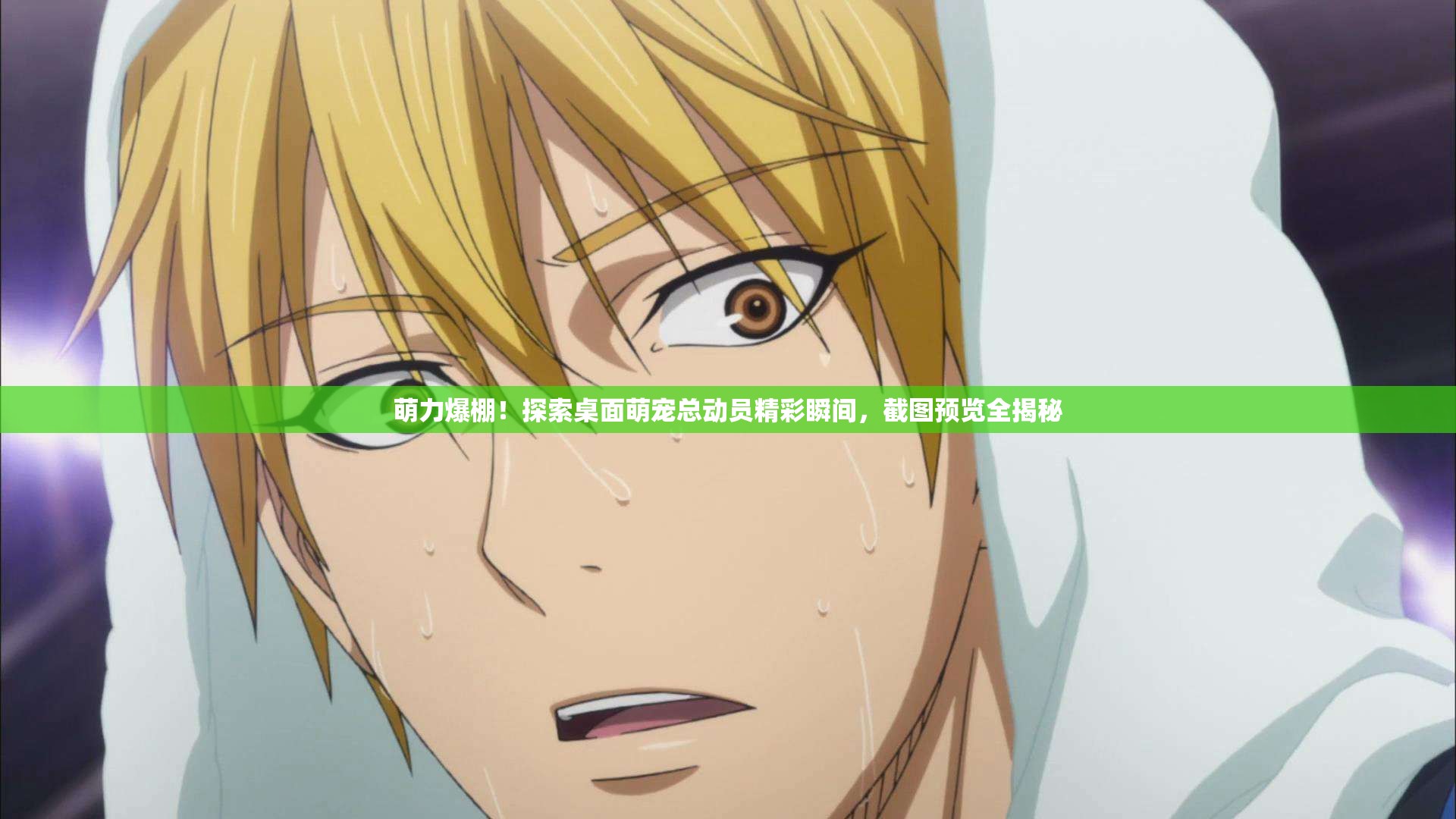 萌力爆棚！探索桌面萌寵總動(dòng)員精彩瞬間，截圖預(yù)覽全揭秘