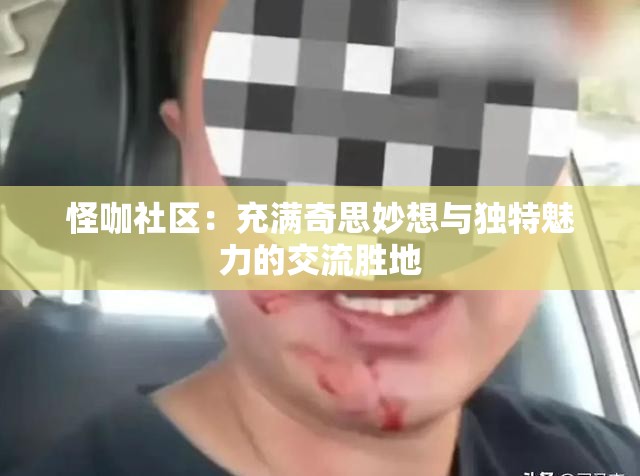 怪咖社區(qū)：充滿奇思妙想與獨(dú)特魅力的交流勝地