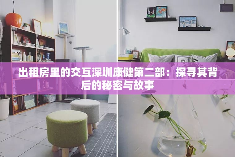 出租房里的交互深圳康健第二部：探尋其背后的秘密與故事