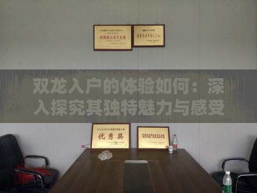 雙龍入戶的體驗(yàn)如何：深入探究其獨(dú)特魅力與感受