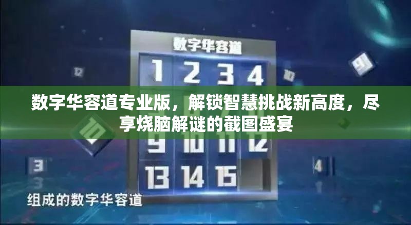 數(shù)字華容道專業(yè)版，解鎖智慧挑戰(zhàn)新高度，盡享燒腦解謎的截圖盛宴