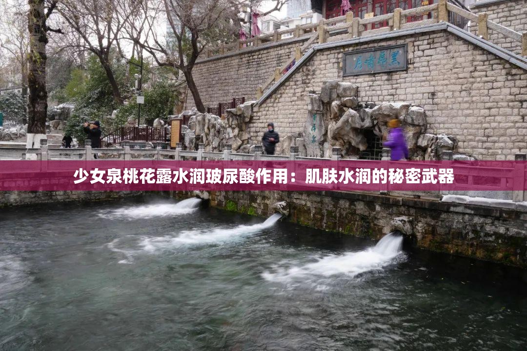 少女泉桃花露水潤(rùn)玻尿酸作用：肌膚水潤(rùn)的秘密武器