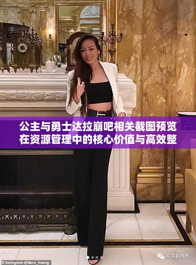 公主與勇士達拉崩吧相關(guān)截圖預(yù)覽在資源管理中的核心價值與高效整合利用策略