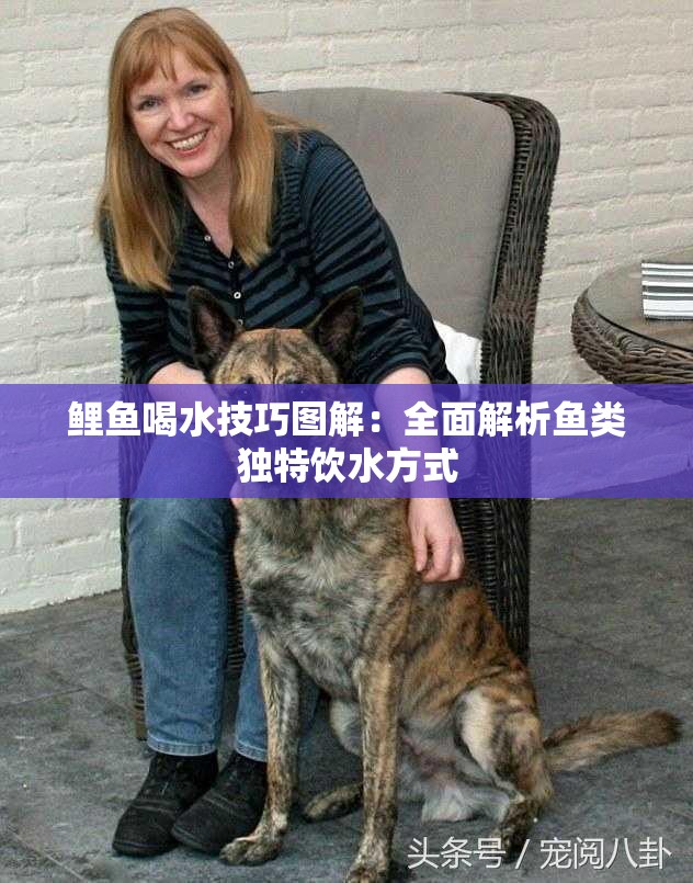 鯉魚(yú)喝水技巧圖解：全面解析魚(yú)類獨(dú)特飲水方式