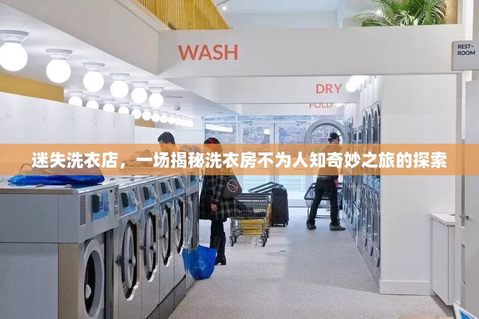 迷失洗衣店，一場(chǎng)揭秘洗衣房不為人知奇妙之旅的探索