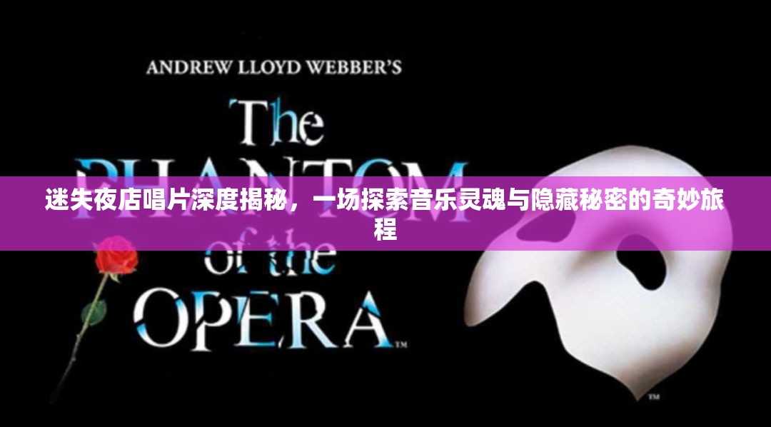迷失夜店唱片深度揭秘，一場(chǎng)探索音樂靈魂與隱藏秘密的奇妙旅程