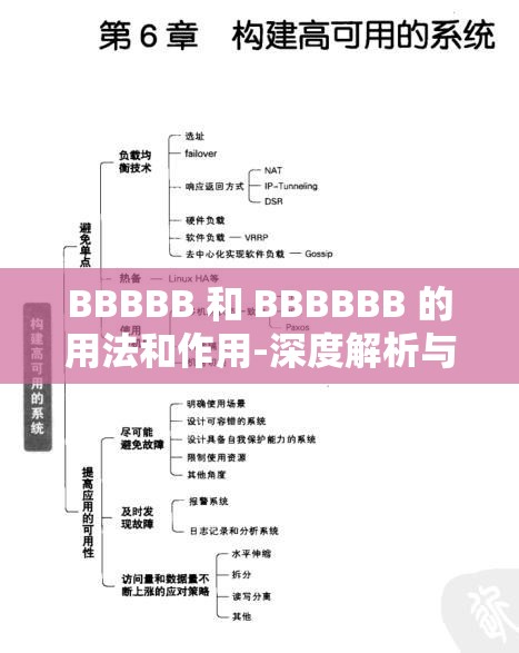 BBBBB 和 BBBBBB 的用法和作用-深度解析與應(yīng)用實(shí)踐指南