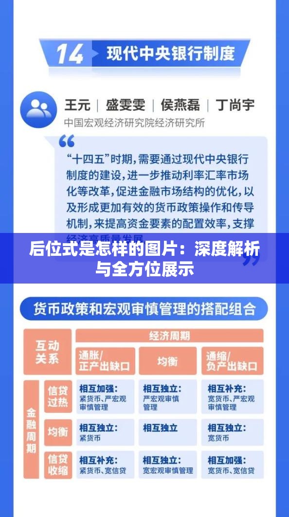 后位式是怎樣的圖片：深度解析與全方位展示