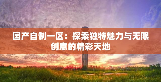 國產(chǎn)自制一區(qū)：探索獨特魅力與無限創(chuàng)意的精彩天地