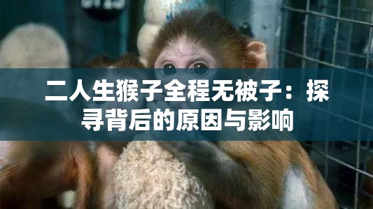 二人生猴子全程無被子：探尋背后的原因與影響