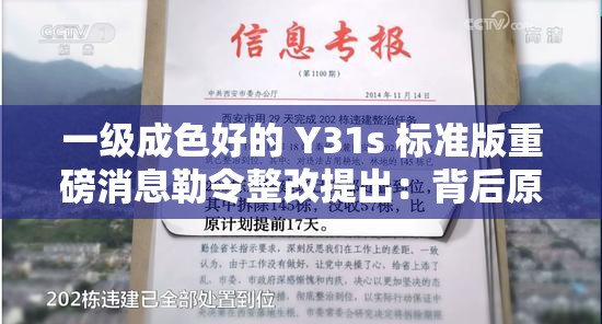 一級成色好的 Y31s 標(biāo)準(zhǔn)版重磅消息勒令整改提出：背后原因引人深思