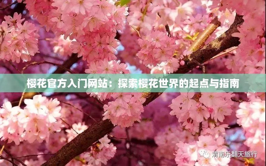 櫻花官方入門網(wǎng)站：探索櫻花世界的起點(diǎn)與指南