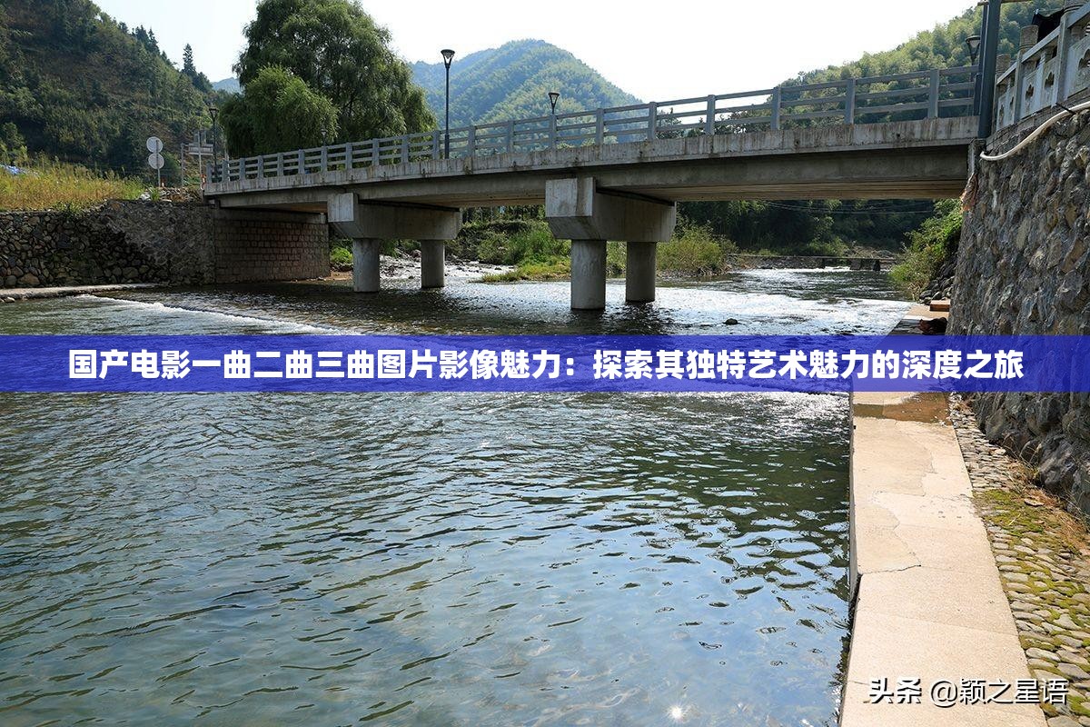 國產(chǎn)電影一曲二曲三曲圖片影像魅力：探索其獨特藝術(shù)魅力的深度之旅