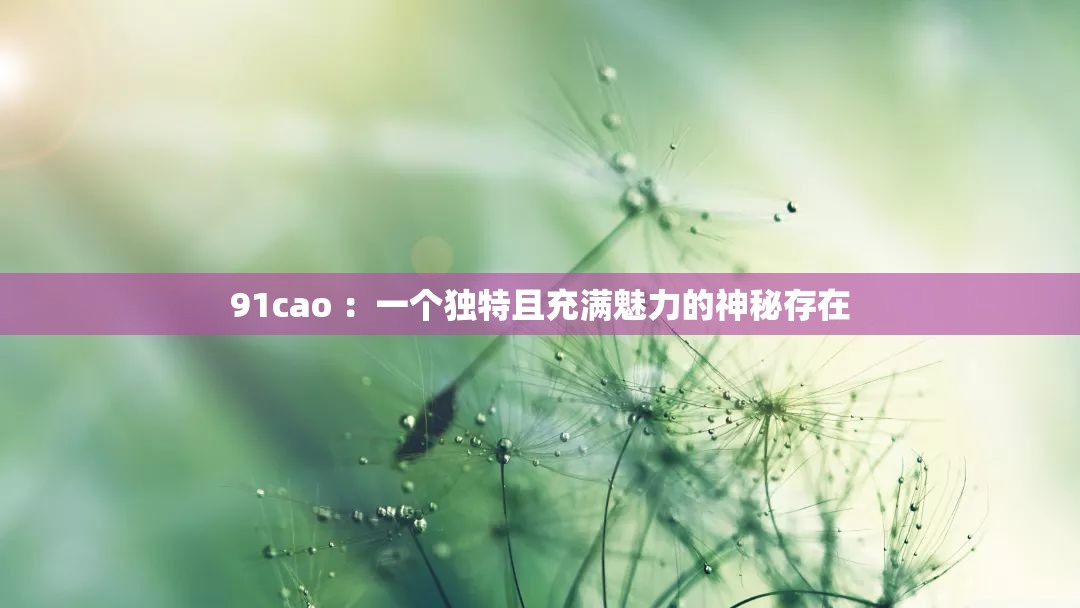 91cao ：一個獨(dú)特且充滿魅力的神秘存在