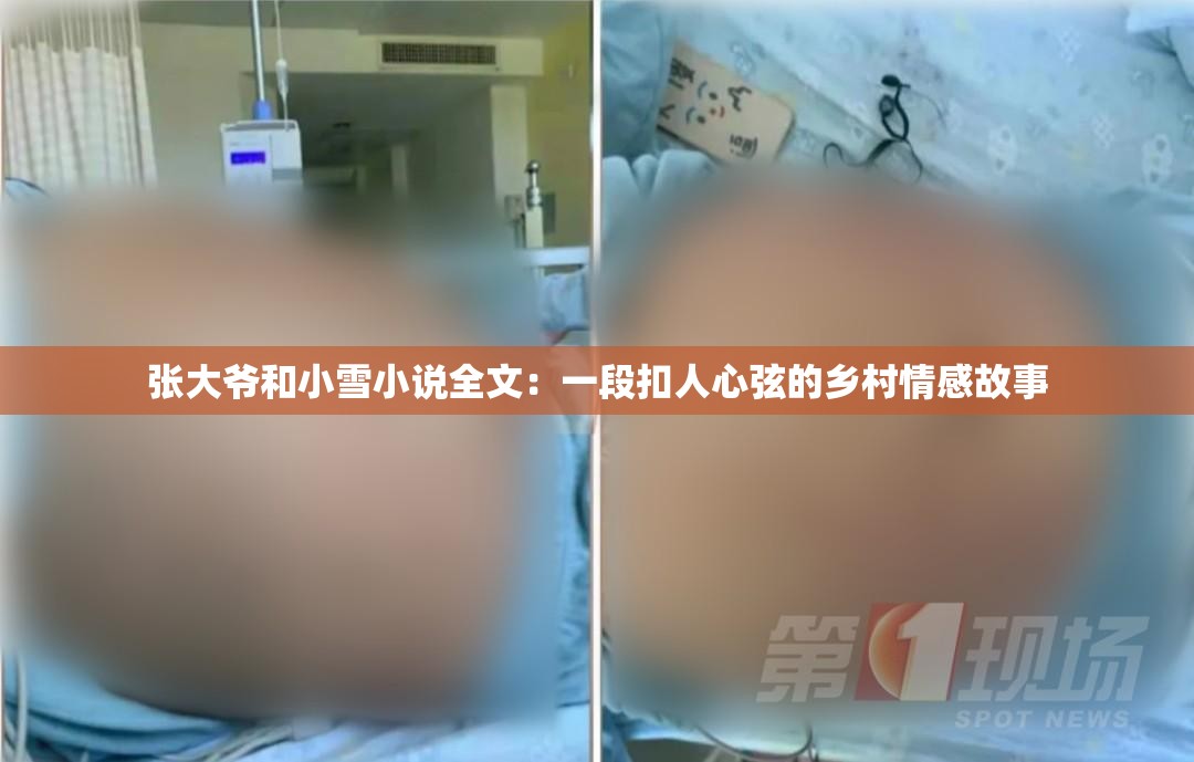 張大爺和小雪小說全文：一段扣人心弦的鄉(xiāng)村情感故事