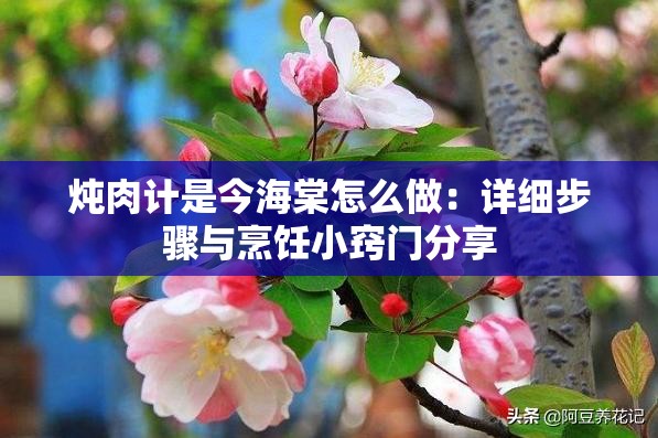 燉肉計是今海棠怎么做：詳細(xì)步驟與烹飪小竅門分享